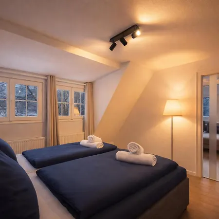 Historisches Muehlendenkmal Im Rheingau I 8 Personen * Schlangenbad