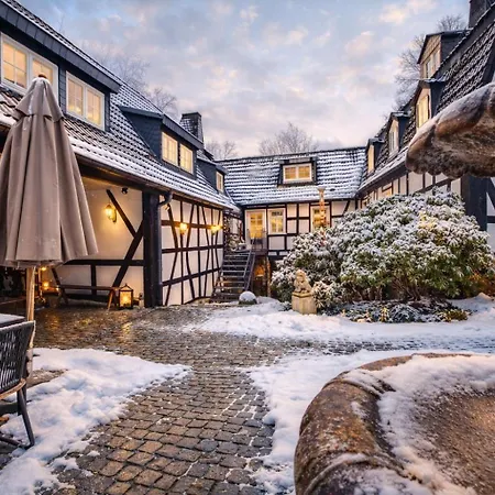 Apartmán Historisches Muehlendenkmal Im Rheingau I 8 Personen Schlangenbad