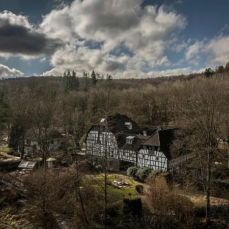 Historisches Muehlendenkmal Im Rheingau I 8 Personen * Schlangenbad