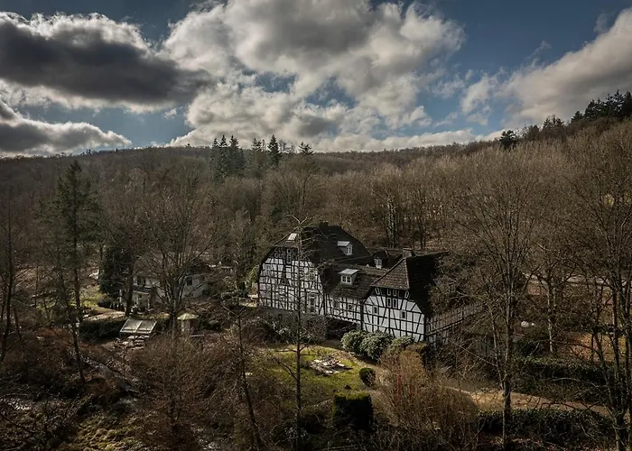Historisches Muehlendenkmal Im Rheingau I 8 Personen * Schlangenbad