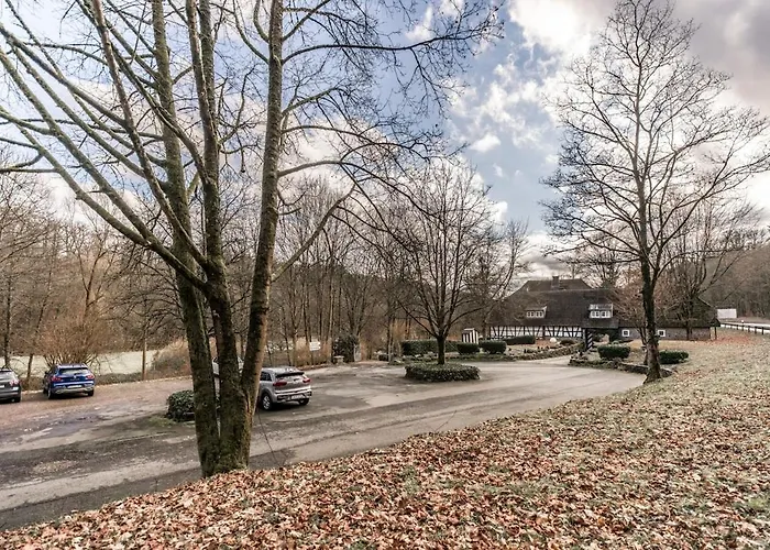 Historisches Muehlendenkmal Im Rheingau I 8 Personen Schlangenbad