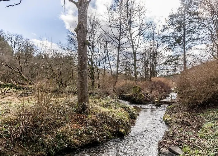 Historisches Muehlendenkmal Im Rheingau I 8 Personen Appartamento